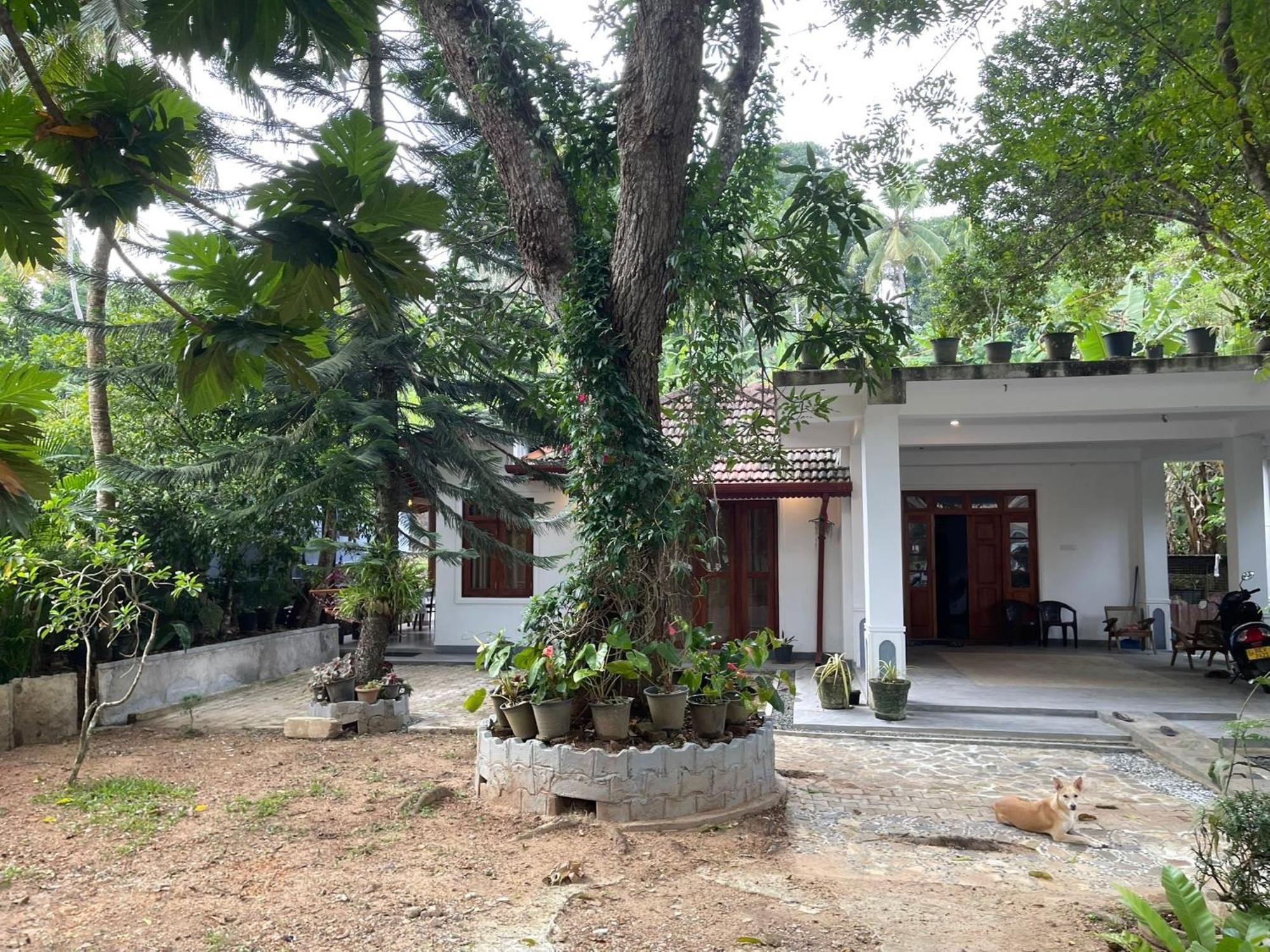 223 * Weligama